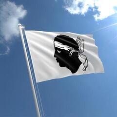 Marine National Flag Talamex Corsica - 2