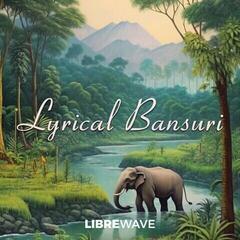 VST Instrument Studio programvara LibreWave Lyrical Bansuri (Digital produkt) - 1