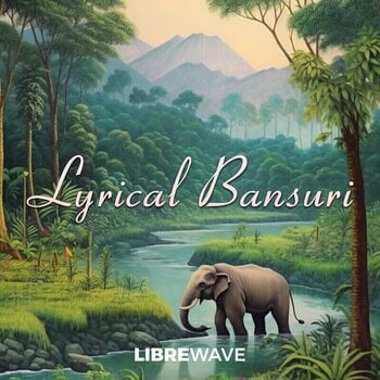 Software da studio VST LibreWave Lyrical Bansuri (Prodotto digitale) - 2