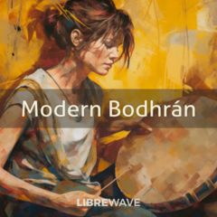 VST Instrument Studio programvara LibreWave Modern Bodhrán (Digital produkt) - 1