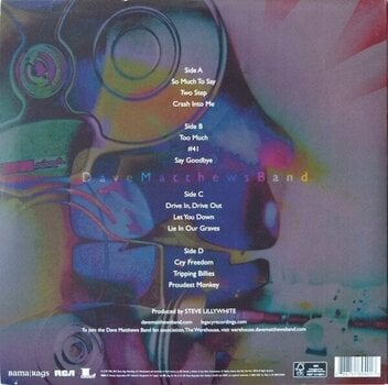 Vinyl Record Dave Matthews - Crash (Anniversary Edition) (Reissue) (Remastered) (180 g) (2 LP) - 6