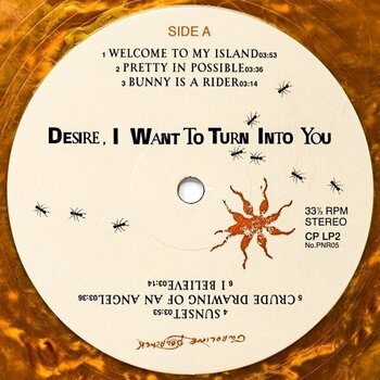 Disco in vinile Caroline Polachek - Desire I Want To Turn Into You (Copper Coloured) (LP) - 2
