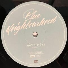Грамофонна плоча Troye Sivan - Blue Neighbourhood (2 LP) - 1