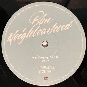 Vinyl Record Troye Sivan - Blue Neighbourhood (2 LP) - 2