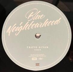 Грамофонна плоча Troye Sivan - Blue Neighbourhood (2 LP) - 2