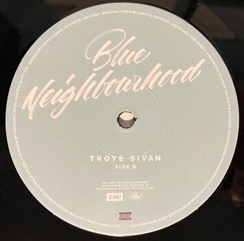 Vinyl Record Troye Sivan - Blue Neighbourhood (2 LP) - 3