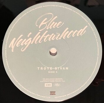 Vinyl Record Troye Sivan - Blue Neighbourhood (2 LP) - 4