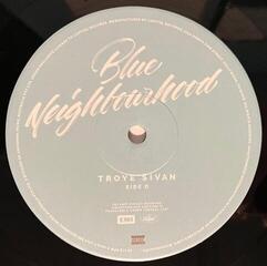 Грамофонна плоча Troye Sivan - Blue Neighbourhood (2 LP) - 4