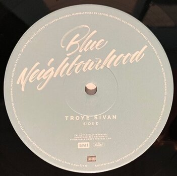 Vinyl Record Troye Sivan - Blue Neighbourhood (2 LP) - 5