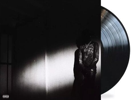 Vinyl Record Destroy Lonely - No Stylist (LP) - 2