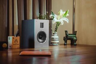 Hi-Fi Bookshelf speaker Shanling JET1 Hi-Fi Bookshelf speaker White 2 pcs - 2