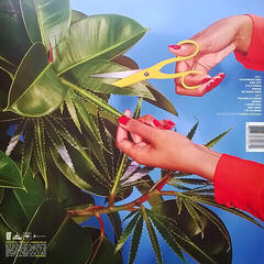 LP deska Snoop Dogg - Bush (Blue Coloured) (LP) - 3