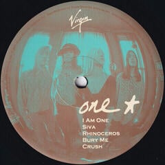 LP ploča The Smashing Pumpkins - Gish (Reissue) (Remastered) (LP) - 2