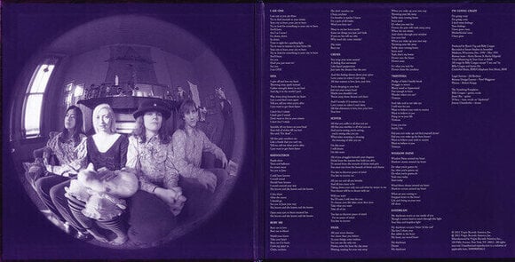 Disco in vinile The Smashing Pumpkins - Gish (Reissue) (Remastered) (LP) - 4