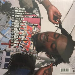 Disque vinyle Playboi Carti - Playboi Carti (Mixtape) (LP) - 2