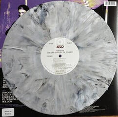LP deska Pantera - Vulgar Display Of Power (Limited Edition) (White & True Metal Gray Marbled) (LP) - 2