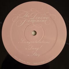 Hanglemez Mac Miller - Divine Feminine (2 LP) - 2