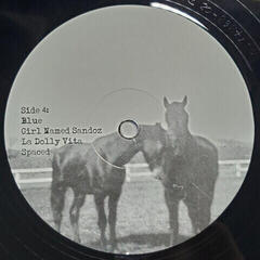 LP ploča The Smashing Pumpkins - Pisces Iscariot (Reissue) (Remastered) (2 LP) - 4