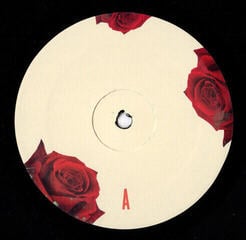 Disque vinyle Lana Del Rey - Born To Die (Reissue) (LP) - 2