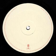 Disque vinyle Lana Del Rey - Born To Die (Reissue) (LP) - 3