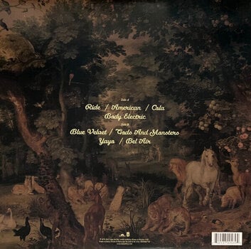 LP ploča Lana Del Rey - Paradise (Mini Album) (Reissue) (LP) - 4