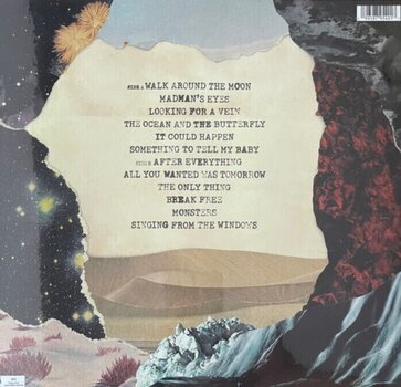 LP plošča Dave Matthews - Walk Around The Moon (LP) - 2