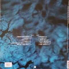 LP deska Pantera - Far Beyond Driven (Reissue) (White & Blue Marbled) (LP) - 5