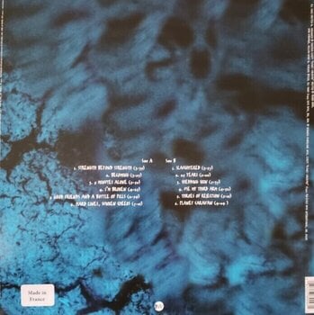 Vinyl Record Pantera - Far Beyond Driven (Reissue) (White & Blue Marbled) (LP) - 6
