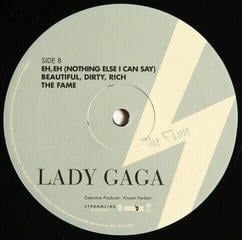 LP platňa Lady Gaga - Fame (Reissue) (160g) (2 LP) - 2