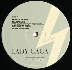 LP platňa Lady Gaga - Fame (Reissue) (160g) (2 LP) - 3