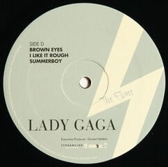 LP platňa Lady Gaga - Fame (Reissue) (160g) (2 LP) - 4