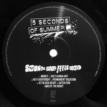 Vinyl Record 5 Seconds Of Summer - Sounds Good Feels Good (LP) - 2