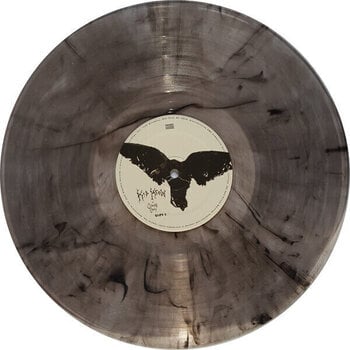 LP platňa Conan Gray - Kid Krow (Smoky Gray Coloured) (LP) - 3