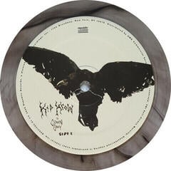 Płyta winylowa Conan Gray - Kid Krow (Smoky Gray Coloured) (LP) - 4