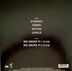 Vinylplade Tash Sultana - Notion (Green Coloured) (12" Vinyl) - 5