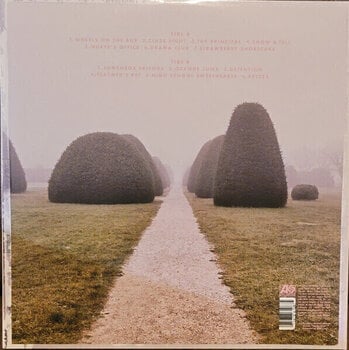LP Melanie Martinez - K-12 (Reissue) (Baby Pink Coloured) (LP) - 5