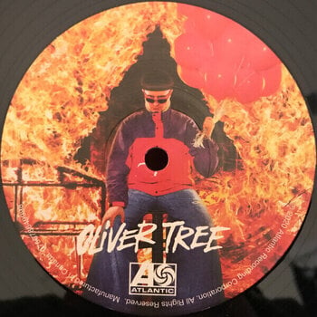 Disc de vinil Oliver Tree - Ugly Is Beautiful (LP) - 2