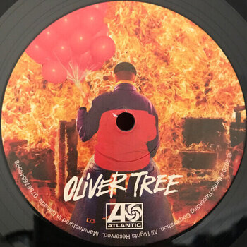 Vinyl Record Oliver Tree - Ugly Is Beautiful (LP) - 3
