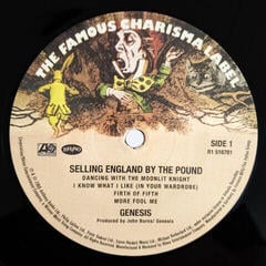 LP ploča Genesis - Selling England By The Pound (Reissue) (Remastered) (180g) (LP) - 1