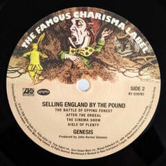 LP ploča Genesis - Selling England By The Pound (Reissue) (Remastered) (180g) (LP) - 2