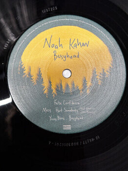 LP plošča Noah Kahan - Busyhead (LP) - 2