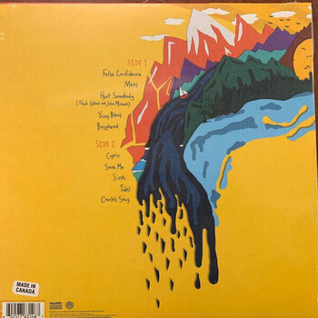 Disque vinyle Noah Kahan - Busyhead (LP) - 4