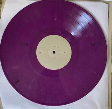 Vinyl Record JPEG Mafia & Danny Brown - Scaring The Hoes: Dlc Pack (Lavender Coloured) (LP) - 2