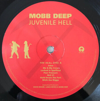 LP deska Mobb Deep - Juvenile Hell (Reissue) (LP) - 2