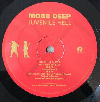 LP ploča Mobb Deep - Juvenile Hell (Reissue) (LP) - 3