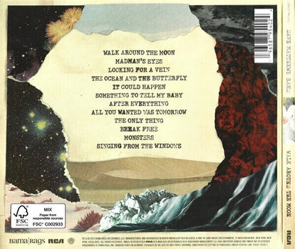 CD musicali Dave Matthews - Walk Around The Moon (CD) - 4