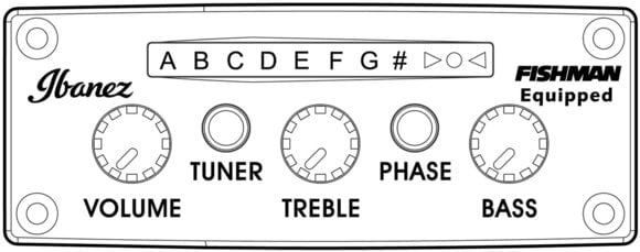 Speciell akustisk-elektrisk gitarr Ibanez TOD10NL-TKF Transparent Black Speciell akustisk-elektrisk gitarr - 13