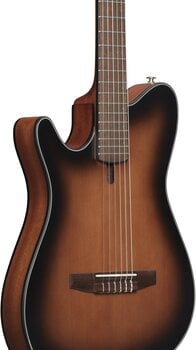 Special Acoustic-electric Guitar Ibanez FRH10NL-BSF Brown Sunburst Special Acoustic-electric Guitar - 5