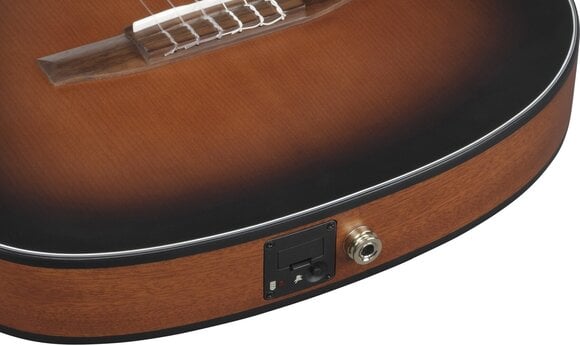 Guitare acoustique-électrique Ibanez FRH10NL-BSF Brown Sunburst Guitare acoustique-électrique - 10