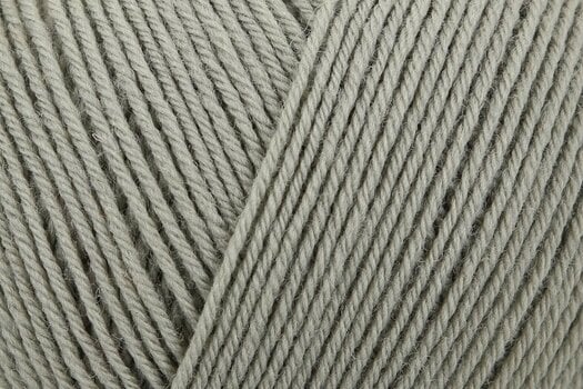 Knitting Yarn Regia Premium Pure 00071 Reed Knitting Yarn - 2